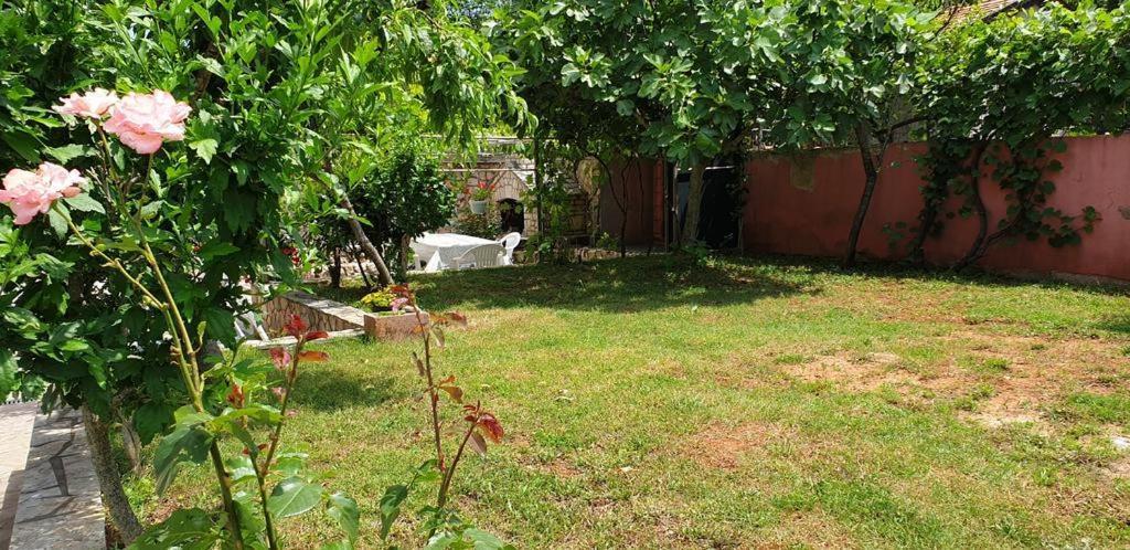 Apartments Roses Dobrinj Dış mekan fotoğraf